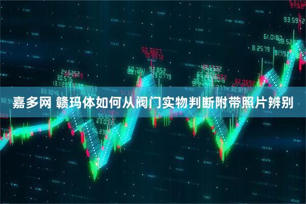 嘉多网 赣玛体如何从阀门实物判断附带照片辨别